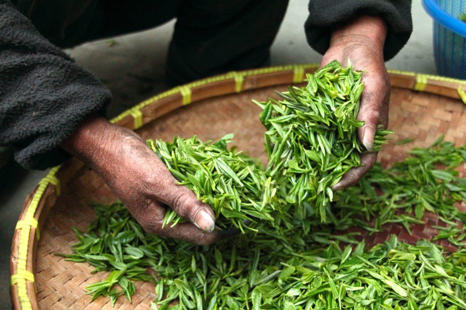 Darjeeling black tea leaves