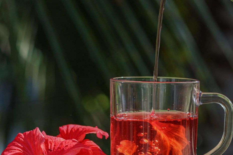 Hibiscus flowers: beneficial properties and hibiscus tea recipe