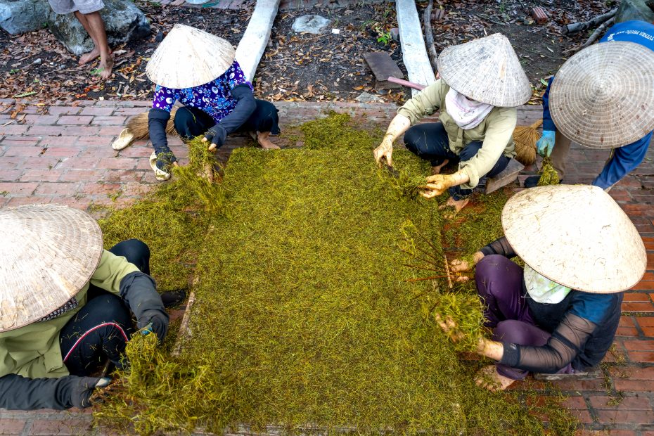 Tea processing