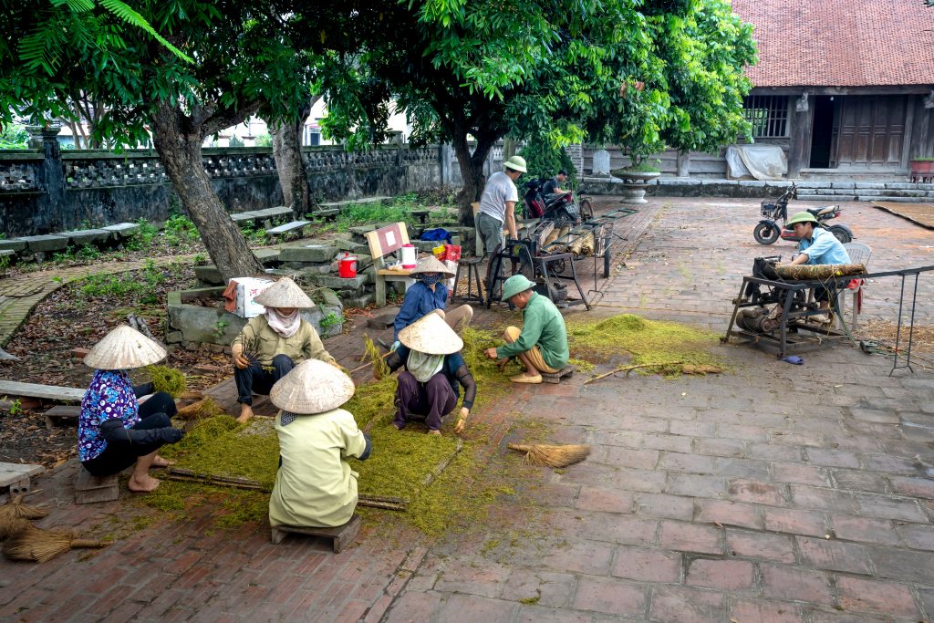 How Tea Is Processed