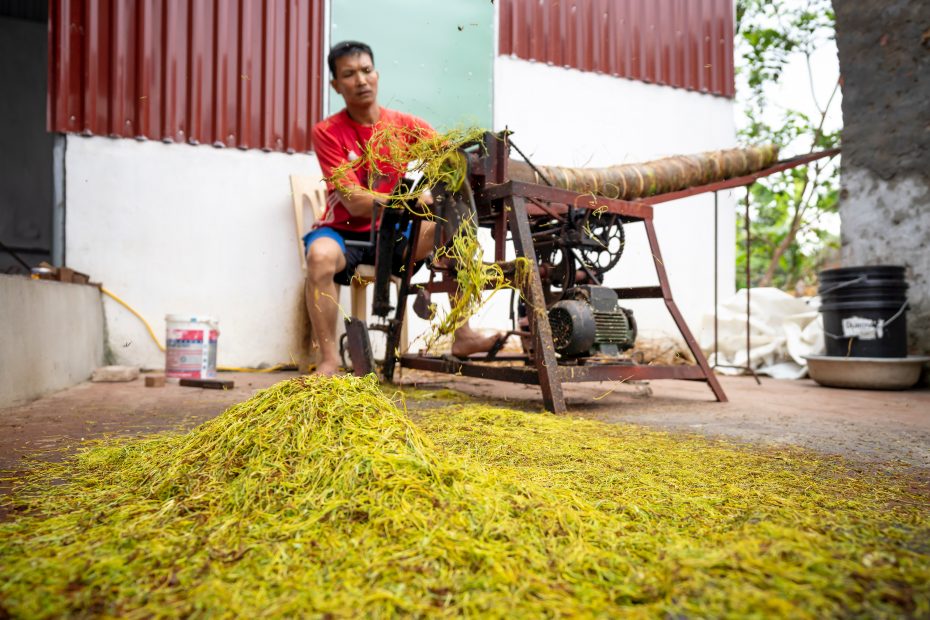 How Do You Make Ceylon Black Tea?